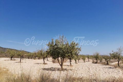 Helårsgrund i Raspay, Murcia, Raspay - € 22.900 | Ref: SF0356 - foto 8